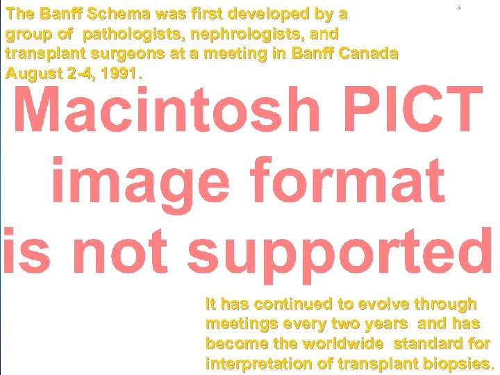 The Banff Schema was first developed by a group of pathologists, nephrologists, and transplant