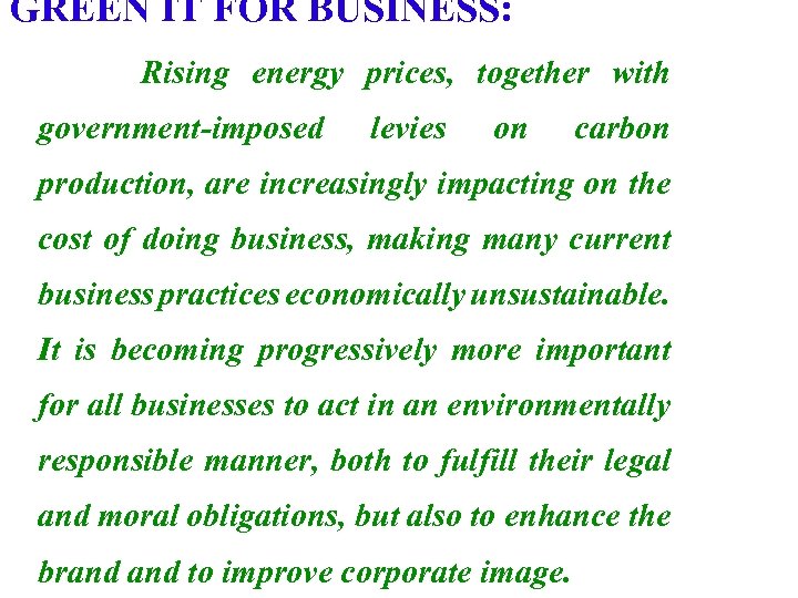 GREEN IT FOR BUSINESS: Rising energy prices, together with government-imposed levies on carbon production,