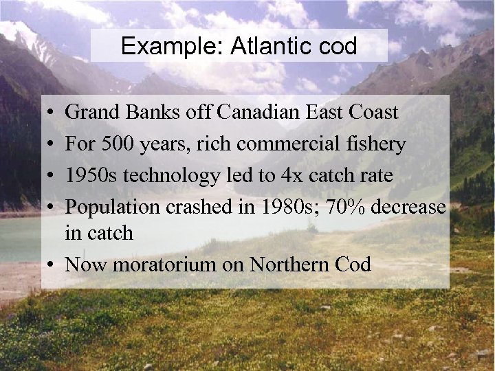 Example: Atlantic cod • • Grand Banks off Canadian East Coast For 500 years,