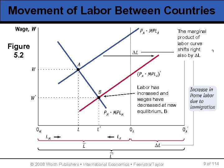 Movement of Labor Between Countries The marginal Immigration product of increases total labor curve