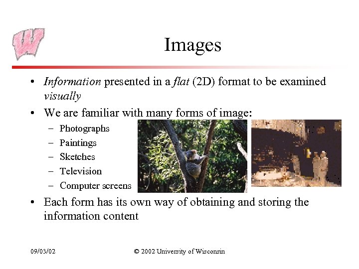 Images • Information presented in a flat (2 D) format to be examined visually