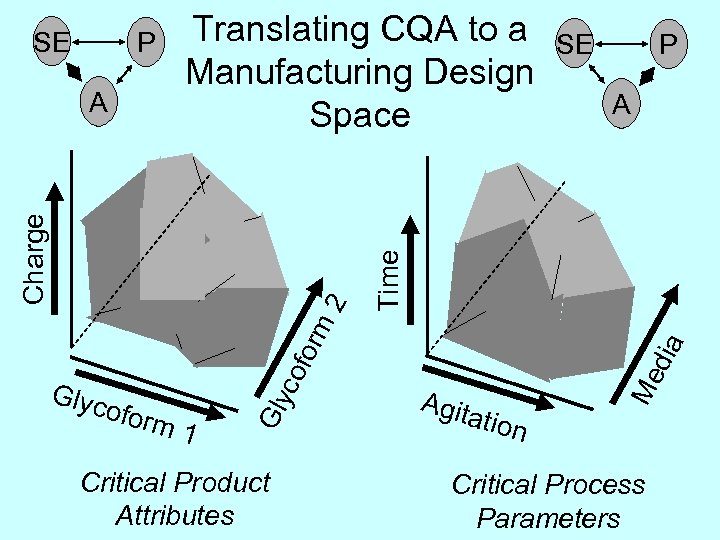 for co ofor m 1 Glyc Critical Product Attributes SE P A dia m