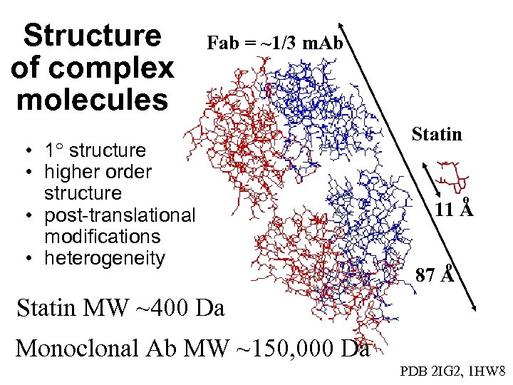 Structure of complex molecules Fab = ~1/3 m. Ab • 1 structure • higher