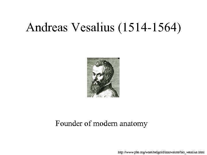 Andreas Vesalius (1514 -1564) Founder of modern anatomy http: //www. pbs. org/wnet/redgold/innovators/bio_vesalius. html 