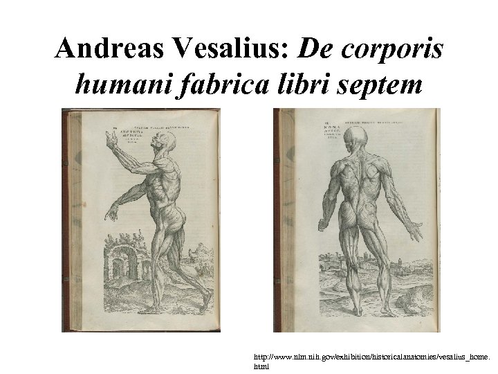 Andreas Vesalius: De corporis humani fabrica libri septem http: //www. nlm. nih. gov/exhibition/historicalanatomies/vesalius_home. html