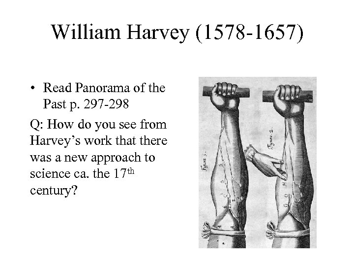 William Harvey (1578 -1657) • Read Panorama of the Past p. 297 -298 Q: