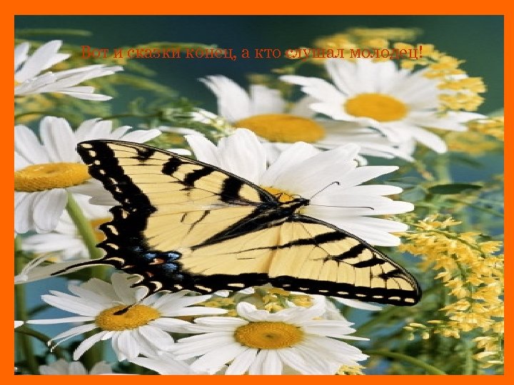 Вот и сказки конец, а кто слушал молодец! 