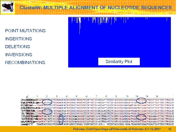 Clustal. W: MULTIPLE ALIGNMENT OF NUCLEOTIDE SEQUENCES POINT MUTATIONS INSERTIONS DELETIONS INVERSIONS RECOMBINATIONS Similarity