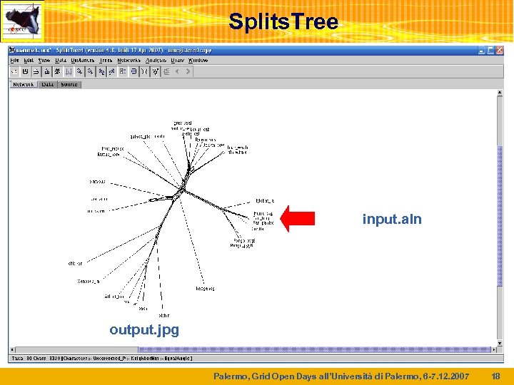 Splits. Tree input. aln output. jpg Palermo, Grid Open Days all’Università di Palermo, 6