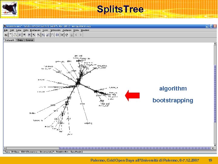 Splits. Tree algorithm bootstrapping Palermo, Grid Open Days all’Università di Palermo, 6 -7. 12.