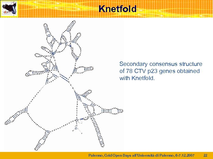 Knetfold Secondary consensus structure of 78 CTV p 23 genes obtained with Knetfold. Palermo,