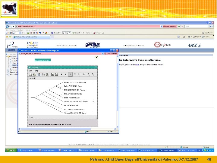 Palermo, Grid Open Days all’Università di Palermo, 6 -7. 12. 2007 40 