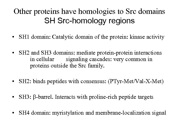 Other proteins have homologies to Src domains SH Src-homology regions • SH 1 domain: