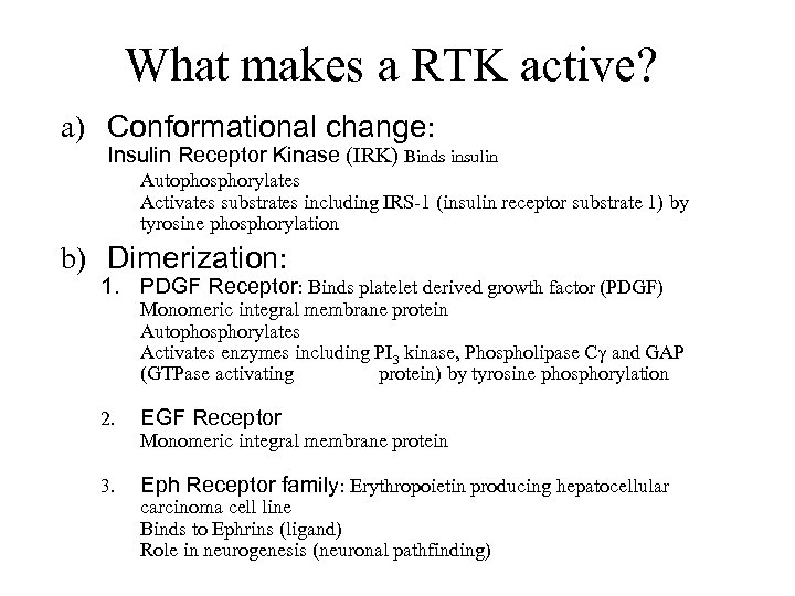 What makes a RTK active? a) Conformational change: Insulin Receptor Kinase (IRK) Binds insulin