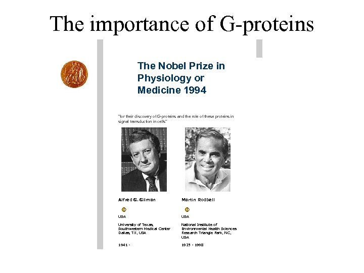 The importance of G-proteins The Nobel Prize in Physiology or Medicine 1994 