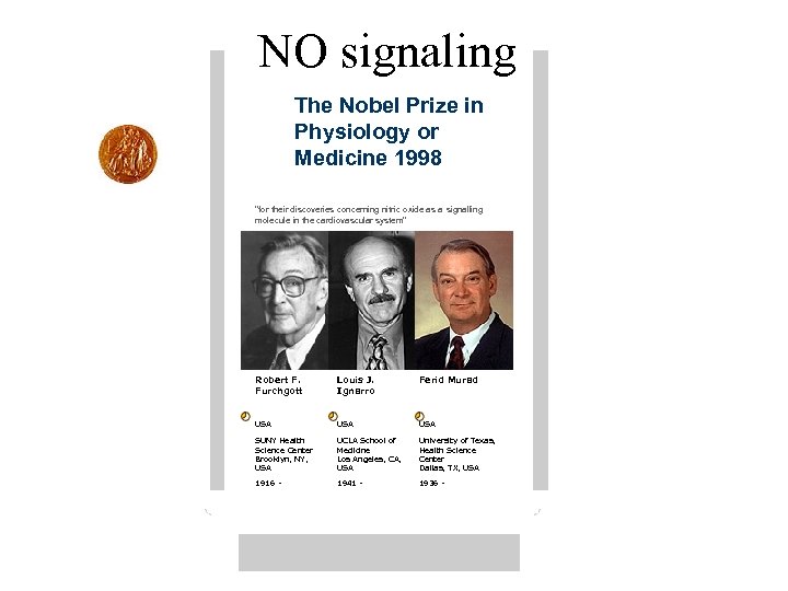  NO signaling The Nobel Prize in Physiology or Medicine 1998 