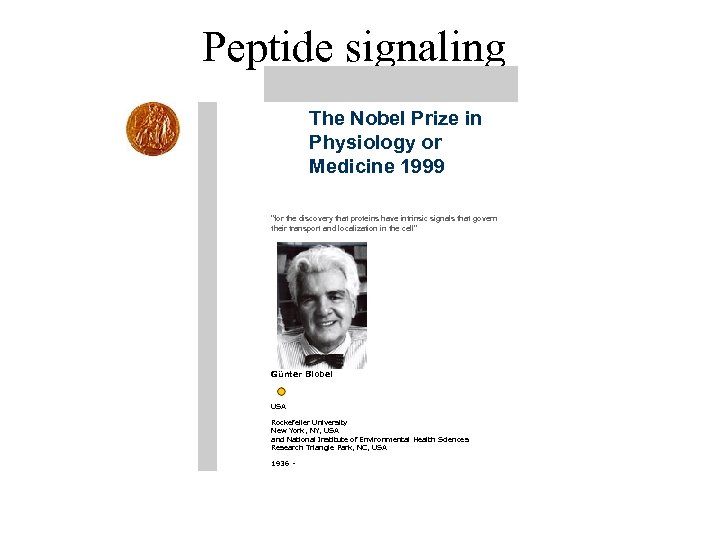 Peptide signaling The Nobel Prize in Physiology or Medicine 1999 