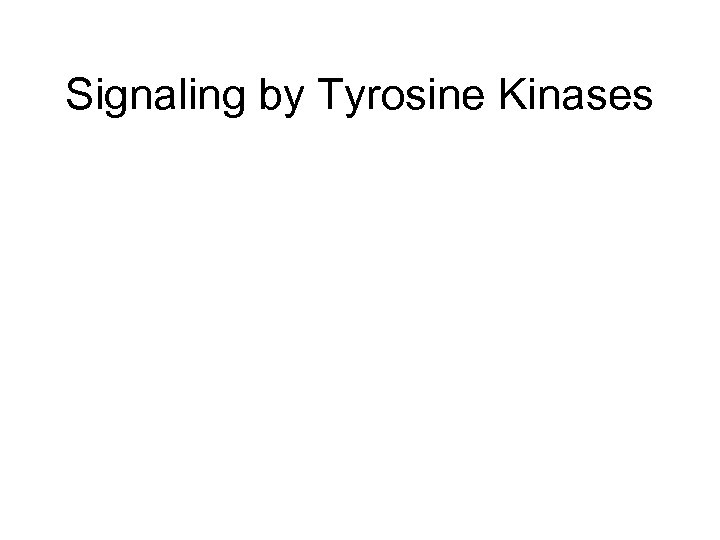 Signaling by Tyrosine Kinases 