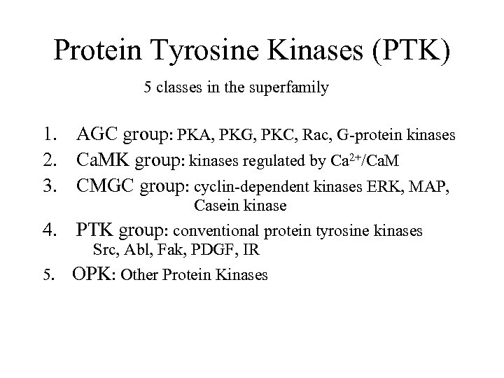 Protein Tyrosine Kinases (PTK) 5 classes in the superfamily 1. AGC group: PKA, PKG,