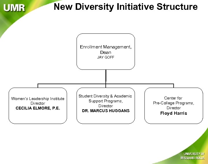 New Diversity Initiative Structure Enrollment Management, Dean JAY GOFF Women’s Leadership Institute Director CECILIA