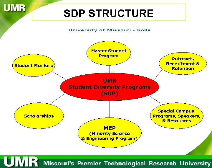 SDP STRUCTURE Master Student Program Student Mentors Outreach, Recruitment & Retention UMR Student Diversity