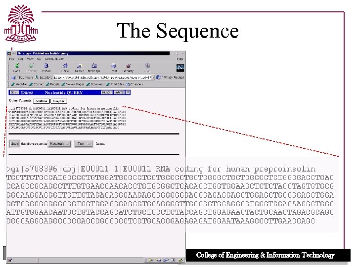 The Sequence UNIVERSITY OF SOUTH CAROLINA College of Engineering & Information Technology 