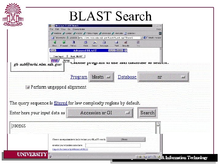 BLAST Search UNIVERSITY OF SOUTH CAROLINA College of Engineering & Information Technology 