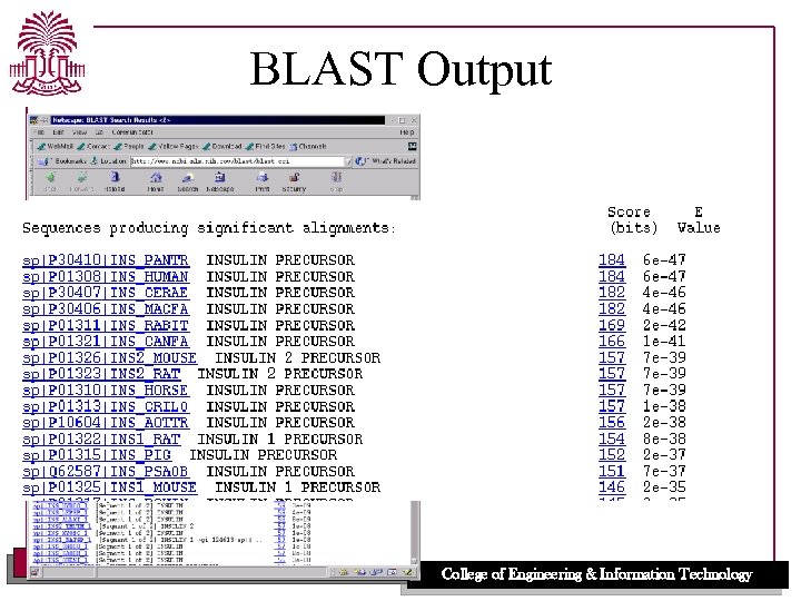 BLAST Output UNIVERSITY OF SOUTH CAROLINA College of Engineering & Information Technology 