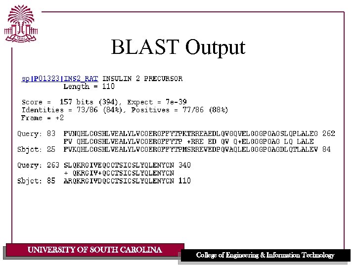 BLAST Output UNIVERSITY OF SOUTH CAROLINA College of Engineering & Information Technology 