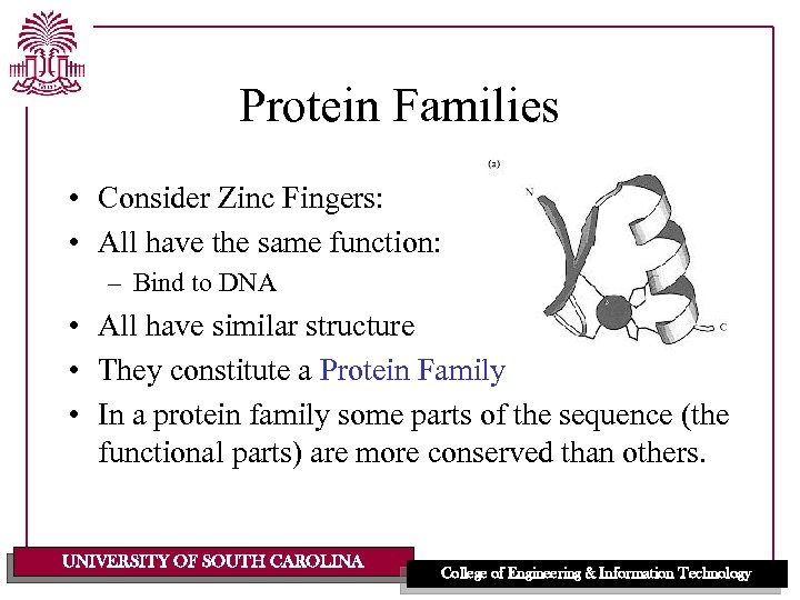 Protein Families • Consider Zinc Fingers: • All have the same function: – Bind