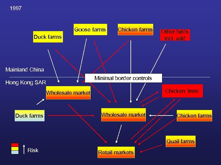 1997 Goose farms Chicken farms Duck farms Other birds Incl. wild Mainland China Minimal