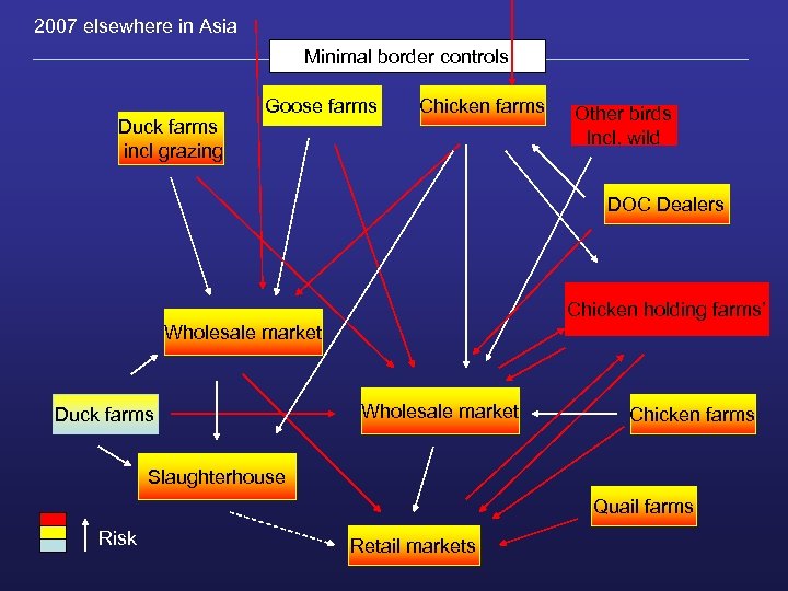 2007 elsewhere in Asia Minimal border controls Duck farms incl grazing Goose farms Chicken