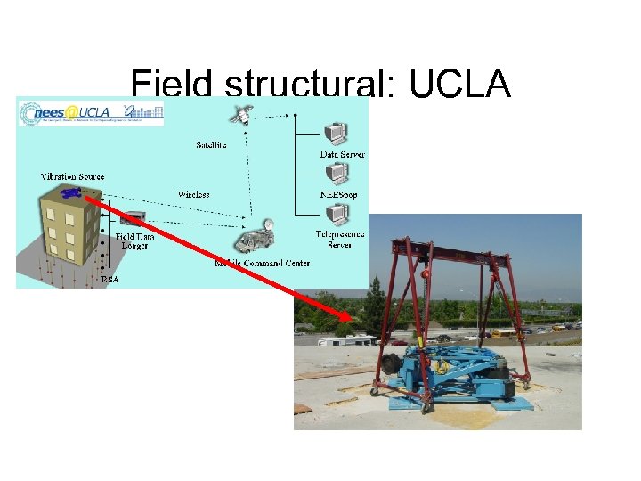 Field structural: UCLA 