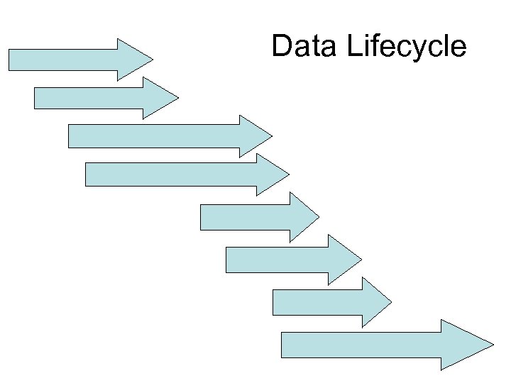 Data Lifecycle 