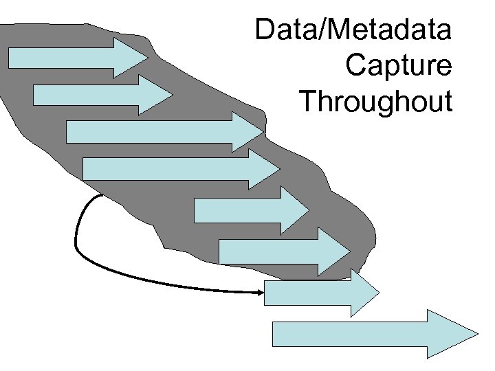 Data/Metadata Capture Throughout 
