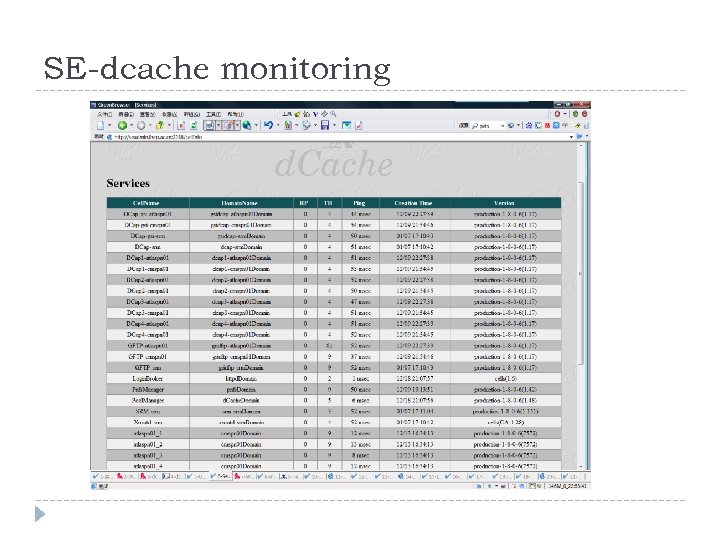 SE-dcache monitoring 