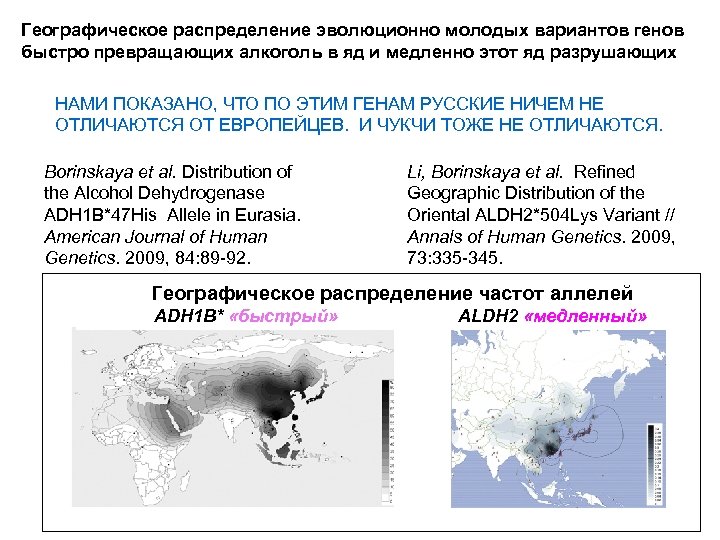 Географическое распределение эволюционно молодых вариантов генов быстро превращающих алкоголь в яд и медленно этот
