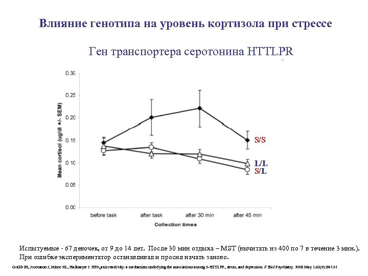 Влияние генотипа на уровень кортизола при стрессе Ген транспортера серотонина HTTLPR S/S L/L S/L