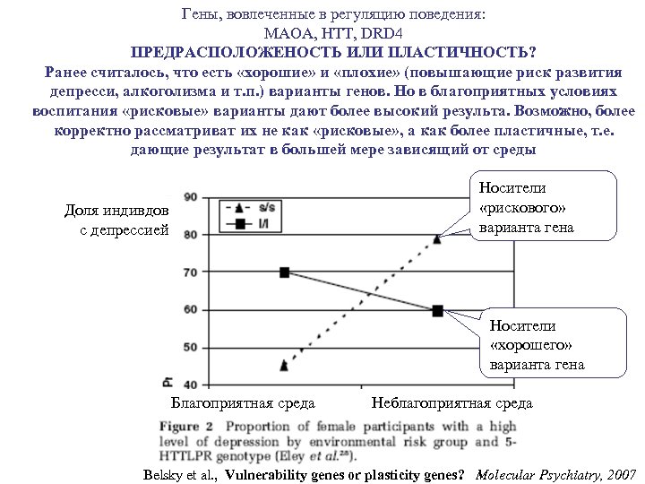 Гены, вовлеченные в регуляцию поведения: MAOA, HTT, DRD 4 ПРЕДРАСПОЛОЖЕНОСТЬ ИЛИ ПЛАСТИЧНОСТЬ? Ранее считалось,