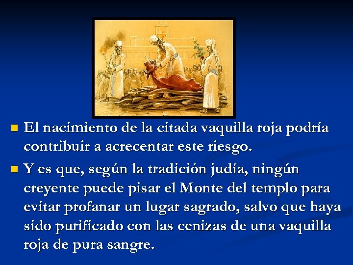 El nacimiento de la citada vaquilla roja podría contribuir a acrecentar este riesgo. n