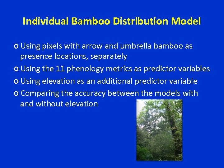 Individual Bamboo Distribution Model Using pixels with arrow and umbrella bamboo as presence locations,