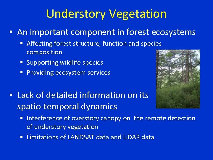 Understory Vegetation • An important component in forest ecosystems § Affecting forest structure, function