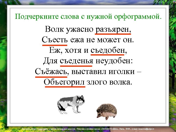 Подчеркните слова с нужной орфограммой. Волк ужасно разъярен, Съесть ежа не может он. Еж,