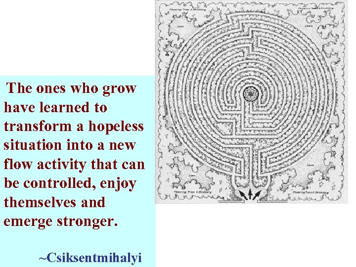 The ones who grow have learned to transform a hopeless situation into a new