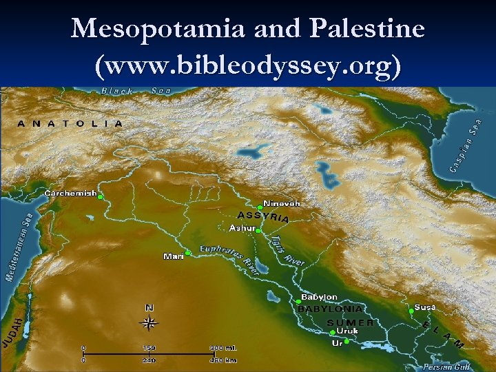 Mesopotamia and Palestine (www. bibleodyssey. org) 