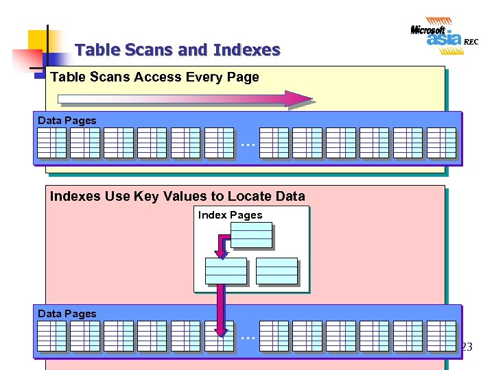 Table Scans and Indexes Table Scans Access Every Page Data Pages … Indexes Use