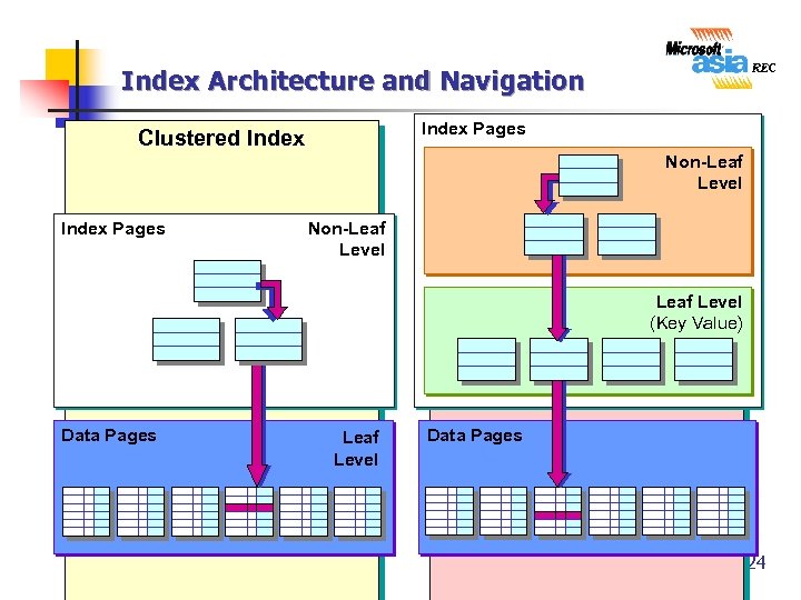 Index Architecture and Navigation Index Pages Clustered Index Nonclustered Index Non-Leaf Level Index Pages