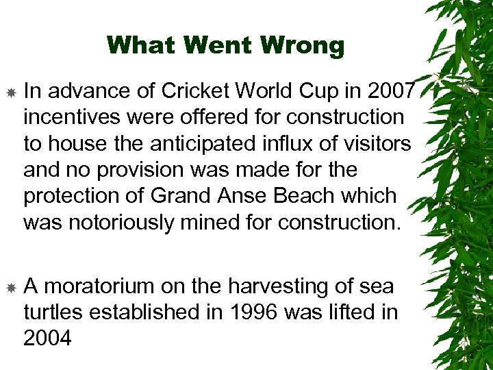 What Went Wrong In advance of Cricket World Cup in 2007 incentives were offered