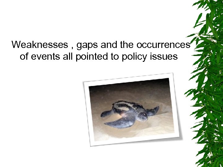 Weaknesses , gaps and the occurrences of events all pointed to policy issues 