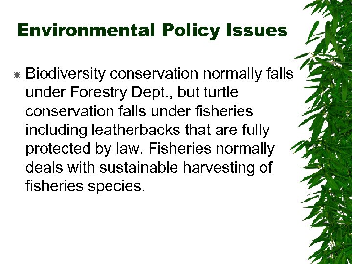 Environmental Policy Issues Biodiversity conservation normally falls under Forestry Dept. , but turtle conservation